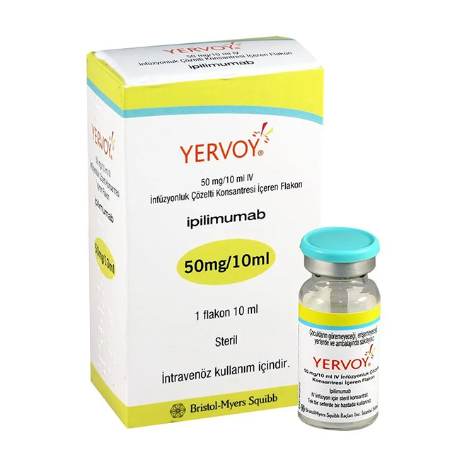 Ipilimumab(Yervoy)